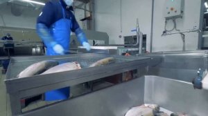 Китай РАСТОРГАЕТ все энергетические контракты с США — начинается худший крах в истории?