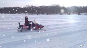 Покатушки на снегоходах, 04.01.2026г.