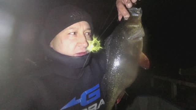 Гигантский Окунь, рыбалка на р.Волга осень смотреть онлайн