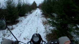 Осенний лес на ИЖ Планета 3