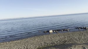 В Байкальске на набережной Байкала