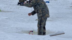 Поимки форели !!!