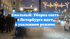 Смольный: Уборка снега в Петербурге идет в усиленном режиме