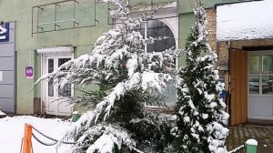 #зимняя сказка снег