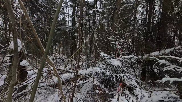 165875.mp4 смотреть онлайн