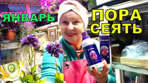 Вот и настала пора первых посевов для сезона 2026. Что буду сеять_