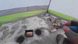 Первый лёд. ЭФФЕКТИВНАЯ ловля карася на безмотылку. Зимняя рыбалка. Подводная съёмка поклёвок