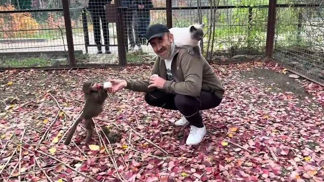 Анфиса стала прямо копией Анубисов и до меня им с Финей нет дела, только папа))) смотреть онлайн