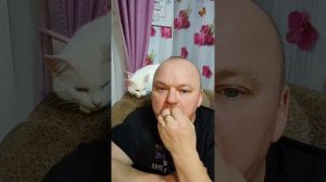 Вечерний эфир от 5.01.12 племница готовит стол, я сижу болтаю с вами, #распаковка подарка от Дзен