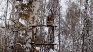 начинается ураган