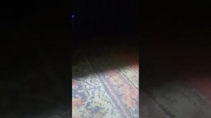 пранки над котами