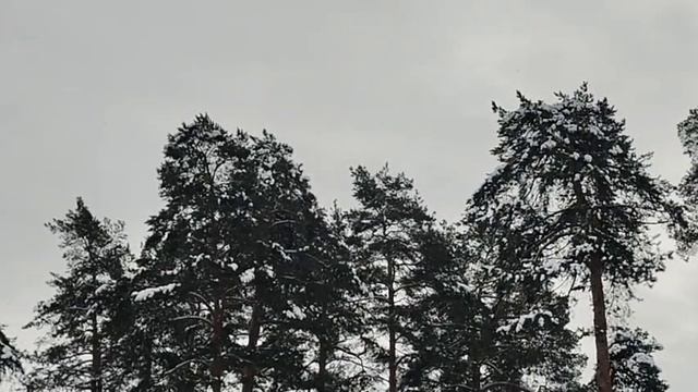 Манипуляторы на рутубе ответ на некоторые комментарии смотреть онлайн