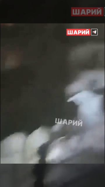 Каракас сегодня. Венесуэлла смотреть онлайн