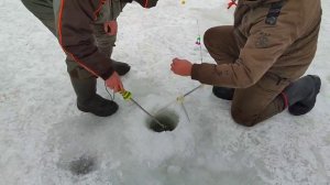 Самоподсекайка