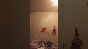 рассказ про моего кота.