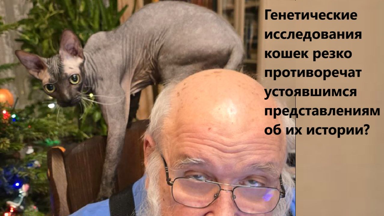 Генетические исследования кошек резко противоречат устоявшимся представлениям об их истории? смотреть онлайн