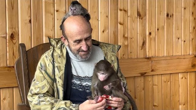 У Влада включился СИНДРОМ ДЕДУШКИ, Анфиса с Фиником воюют, а он их пытается накормить😄 смотреть онлайн