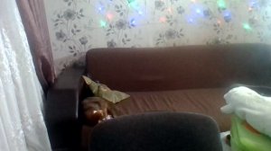 WIN_20260106_21_51_22_Pro