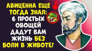 ПОЧЕМУ ВРАЧИ МОЛЧАТ 6 ОВОЩЕЙ ОТ АВИЦЕННЫ ВЫЛЕЧАТ ЖЕЛУДОК!