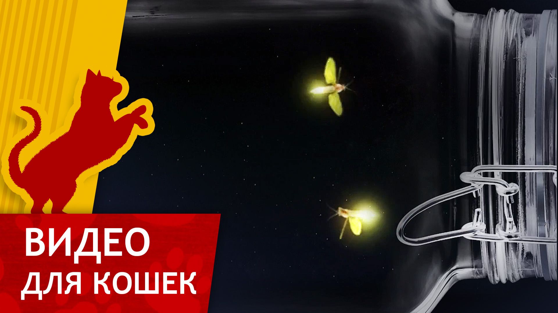 Видео для кошек - Светлячки в банке (Ваш кот будет доволен!) смотреть онлайн