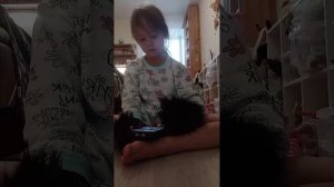 разная высота препятствий