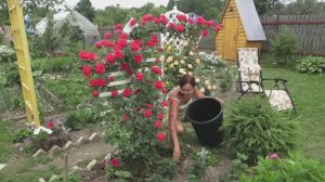 6 соток 25 июня 2021 года. Хроника жаркого дня.