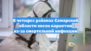 Четыре села закрыли на карантин из-за вспышки бешенства в Самарской области