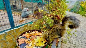 Мы пришли покормить Люсю, Елисей просто не отпускает ее ни на минуту!!!