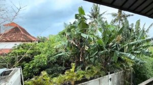 Беженец🇮🇩Бали. ЖЕНСКОЕ СЧАСТЬЕ： СЕМЬЯ И СИСЪКИ. НЕОБ