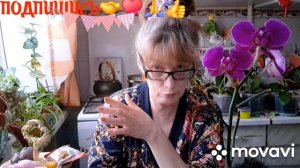 1000016726.mp4 🚀🖋️🚀ОТВЕЧАЮ НА КОММЕНТАРИИ ПОДПИСЧИКОВ 💃🔥МОИ БУДНИ 🖋️🚀🖋️