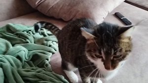 Выходные затянулись. Работоспособность под плинтусом