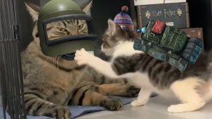 ЕскапеФромТаркове и Вартундер - ежедневный зимний стрим