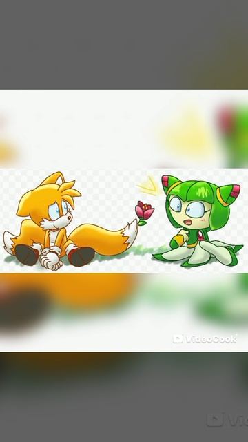 Тейлз и Космо