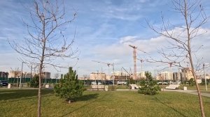 С Рождеством Христовым. Анапа.