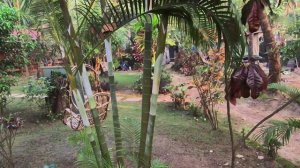 мотопоездка по Гоа