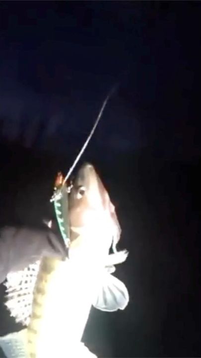 Выход СУДАКА под ВИБ. смотреть онлайн