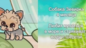 новое интро мы улетели на юг (следующия серия завтра!)