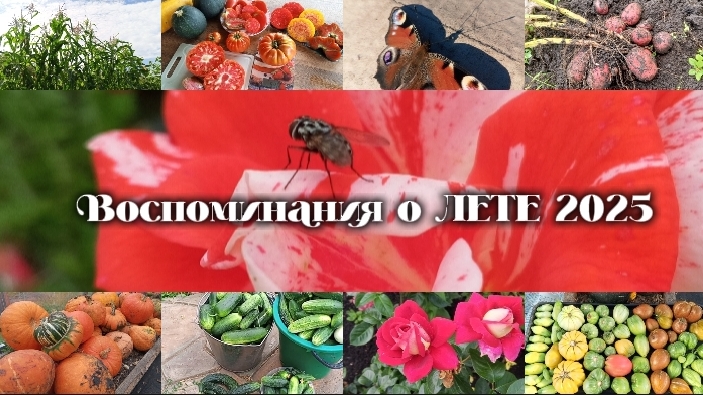 06-01-2026 смотреть онлайн