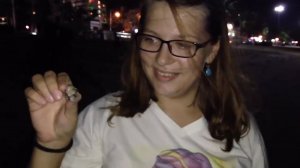 Ракушечная охота