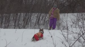 Лета 11.02.2023 Левобережный