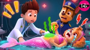 Щенячий патруль и Маршалл. Залипательное видео. Мультфильм для детей и малышей. Анимация 42