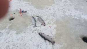 VID_20260106_112720_743