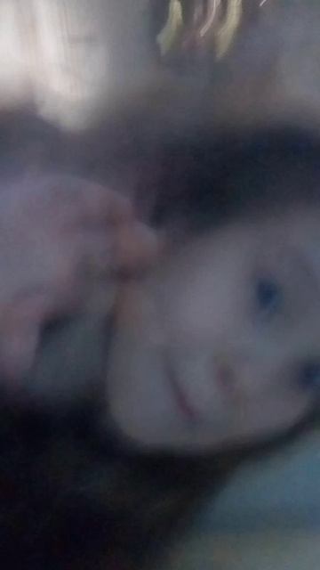 я в атели в минске смотреть онлайн