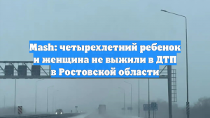 Маленький ребёнок и женщина погибли в ДТП в Ростовской области
