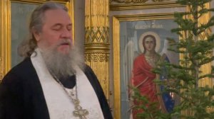 С наступающим Рождеством Христовым! Протоиерей Сергий Кандыбин