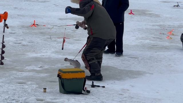 Поимка форели смотреть онлайн