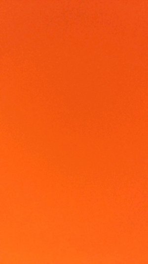 я выступаю на король и шут. в концерте