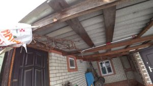 Хорошо ли зимует виноград под дорнитом?