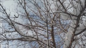 Зимнее небо.