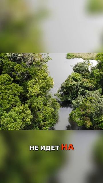 А вы идете за своими мечтами? смотреть онлайн